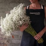 Campbell And Bradley Flowers (20)