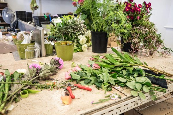 Flower Care Tips - Campbelle And Braldey Flowers (16)