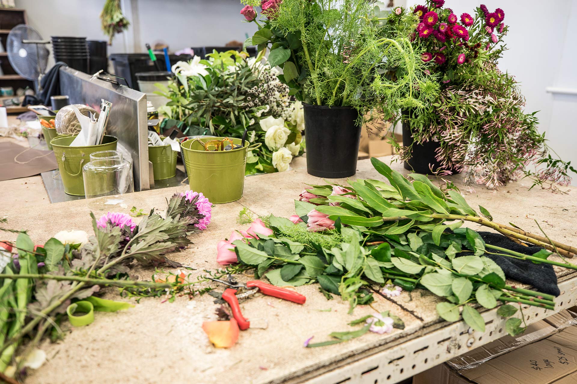 Flower Care Tips Campbell & Bradley Flowers Everyday Flowers