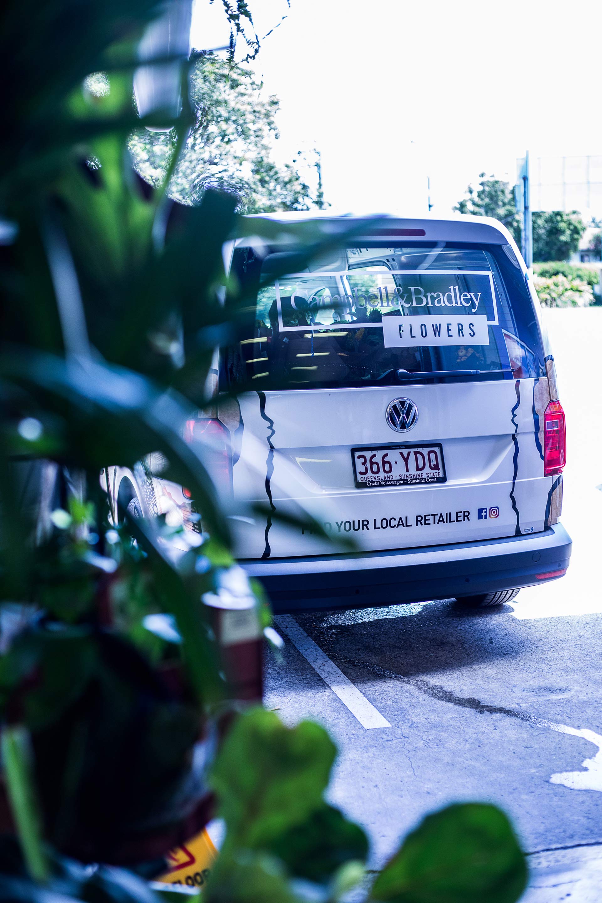 Store Finder - Campbelle And Braldey Flowers (28)