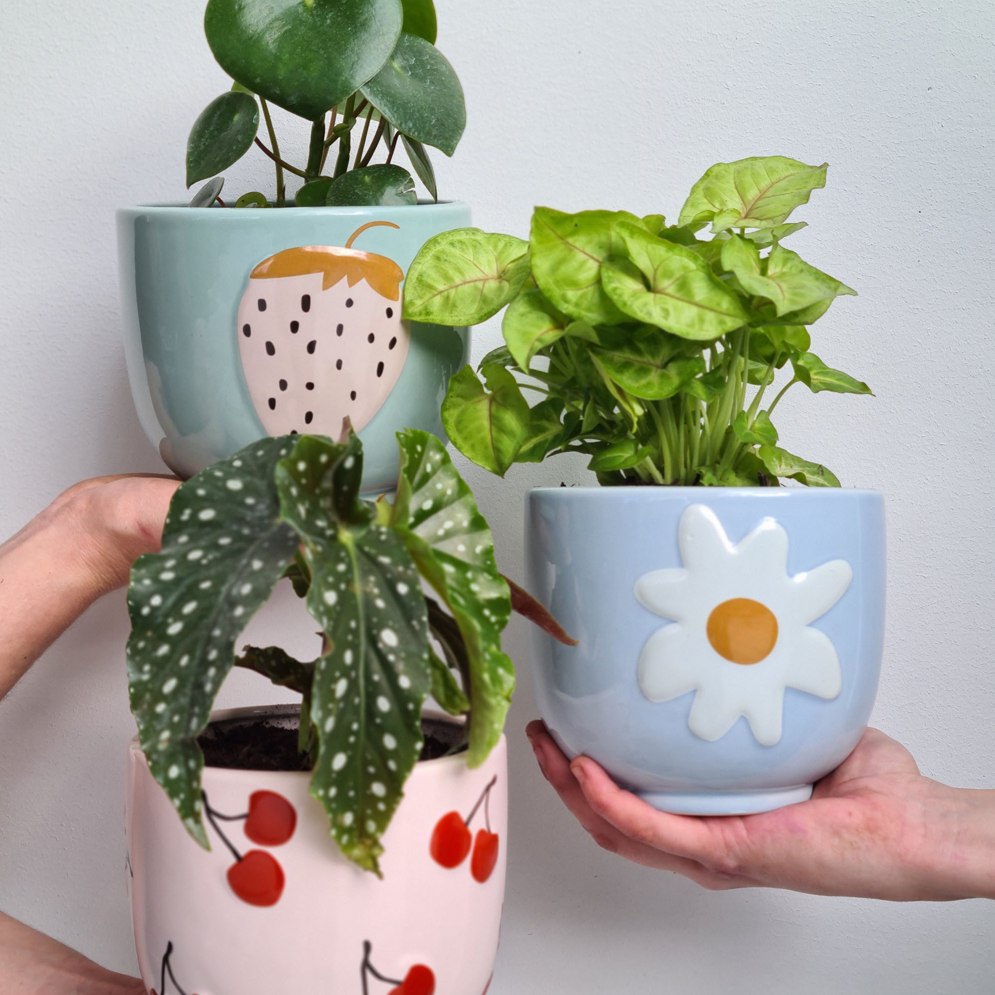 Potted-Plants.jpg