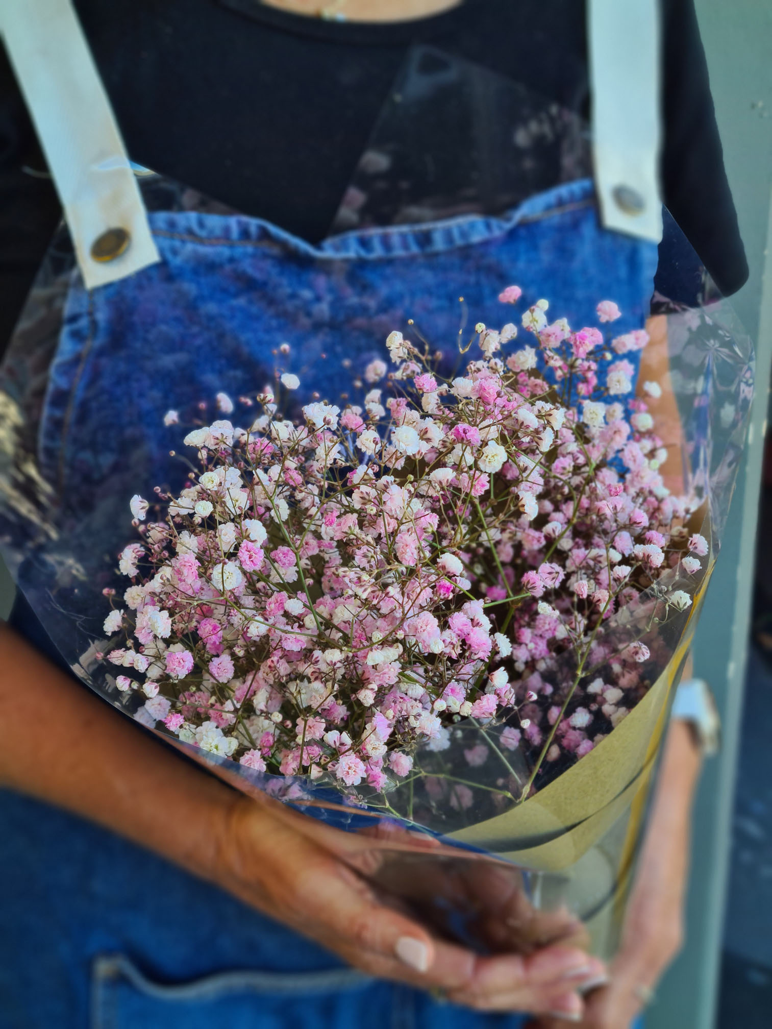 babys-breath.jpg