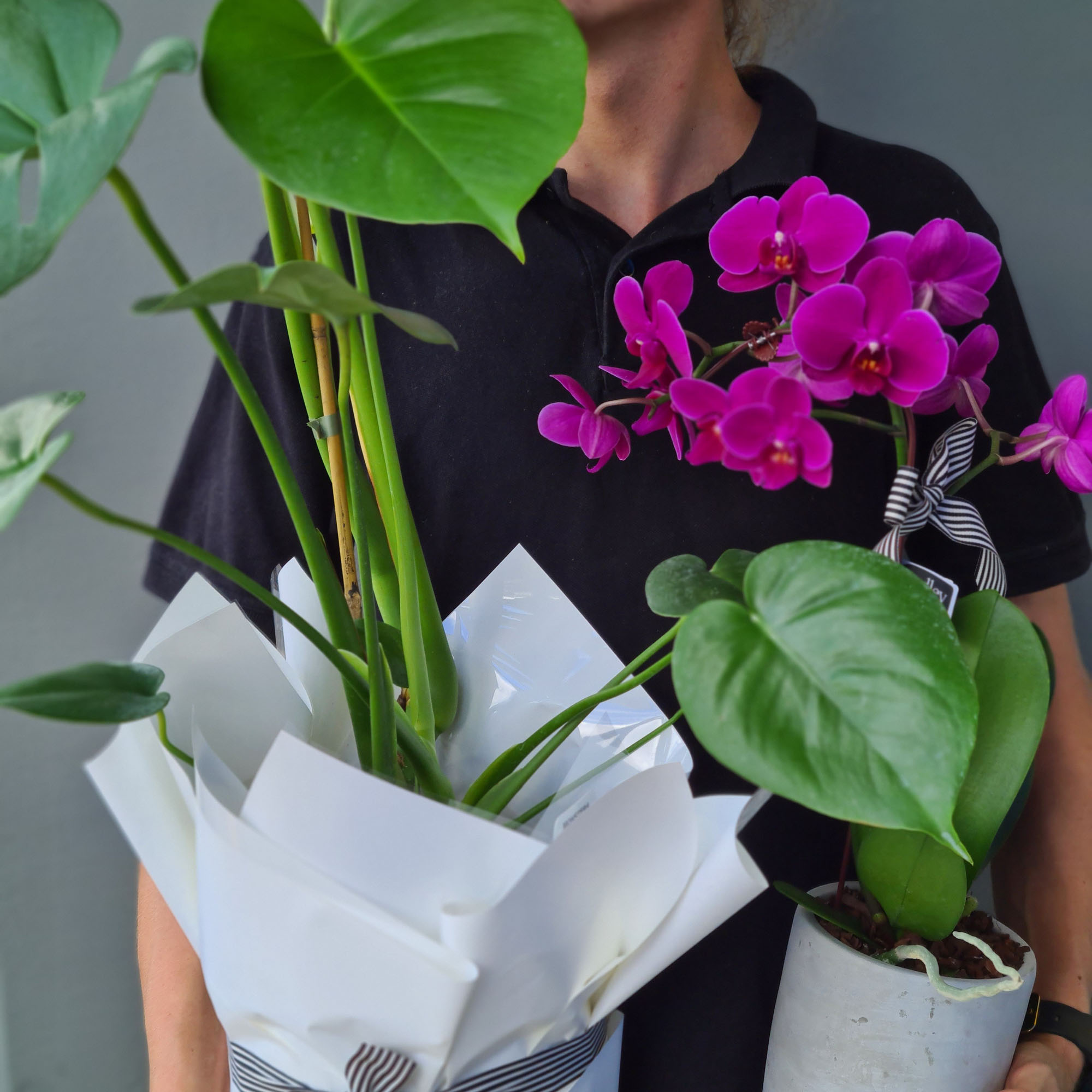 plants.jpg