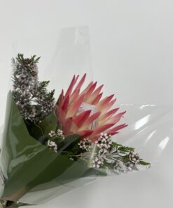 *King Protea Posy